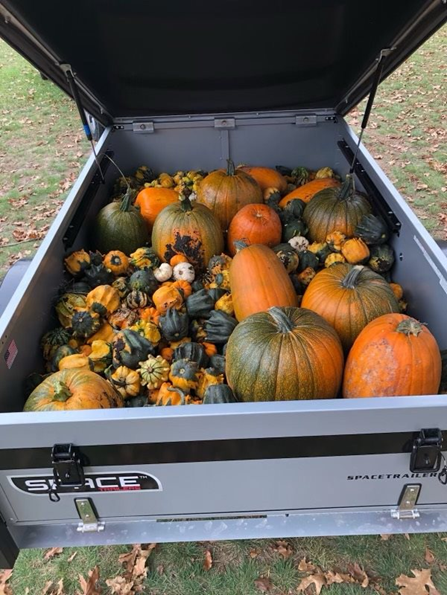 Utility Trailer being used to transport pumpkins